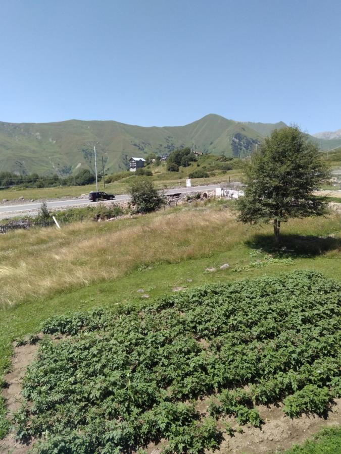 Family Hotel Mtamta Gudauri Exterior photo